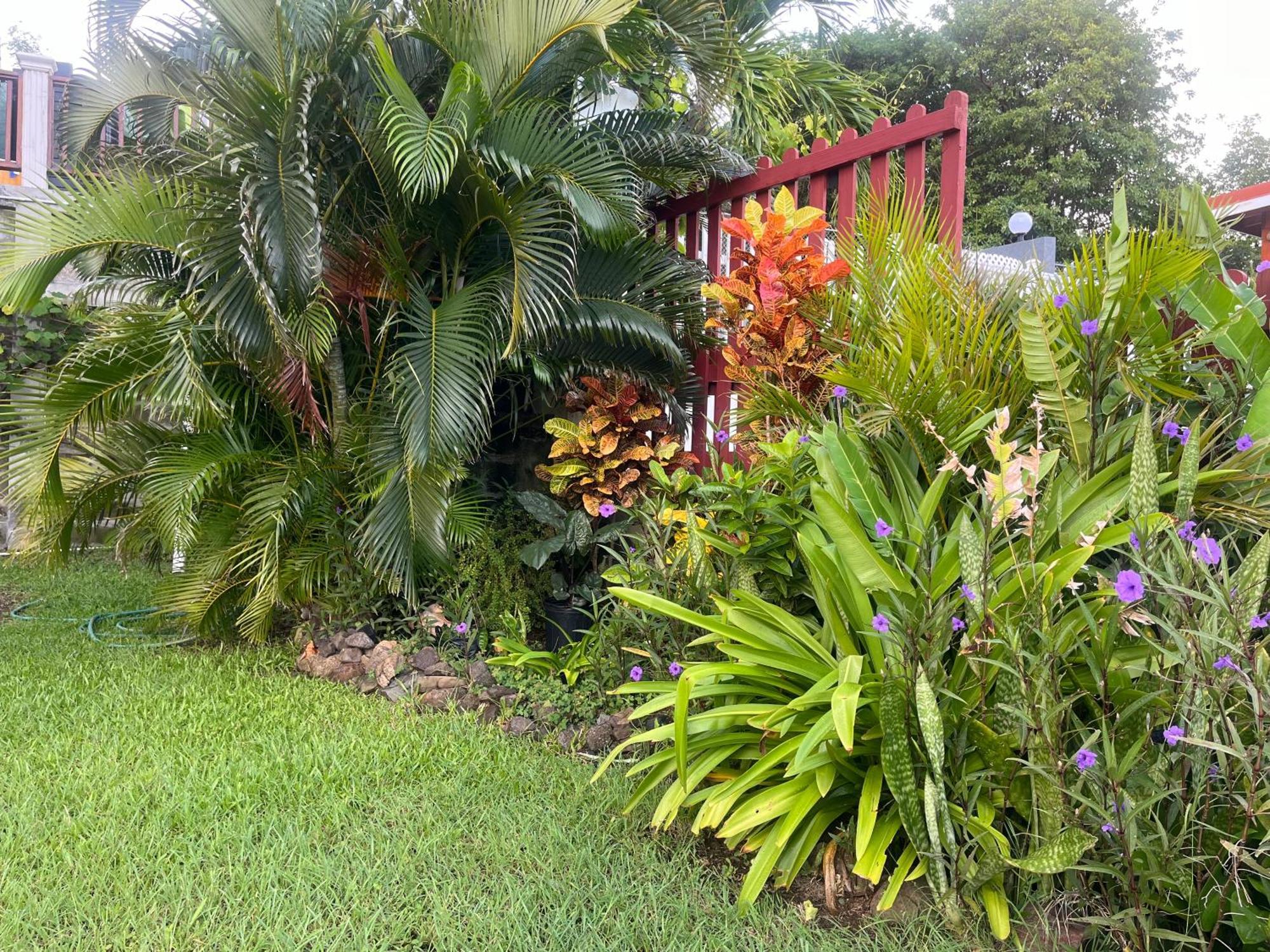 Belle Breeze Haven Apartment Gros Islet Bagian luar foto